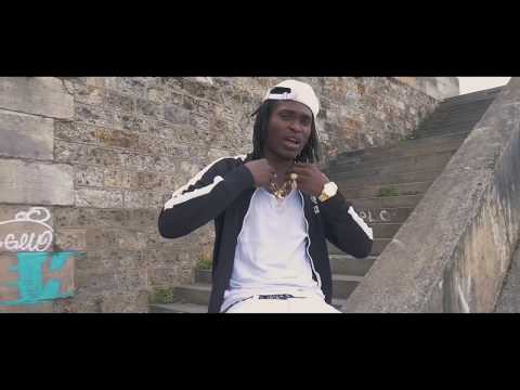 Lion p - mangé gold