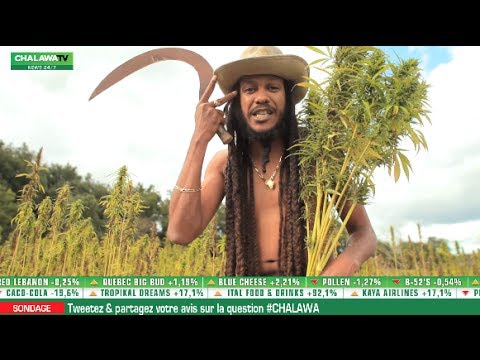 Yaniss Odua - Chalawa (generation H)